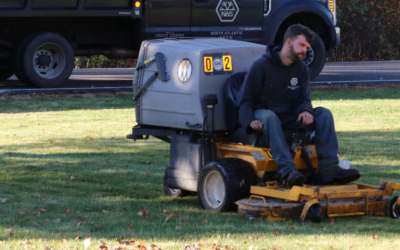 How Short To Cut Grass Before Winter in New England